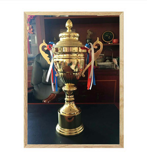 宏昌獎(jiǎng)杯